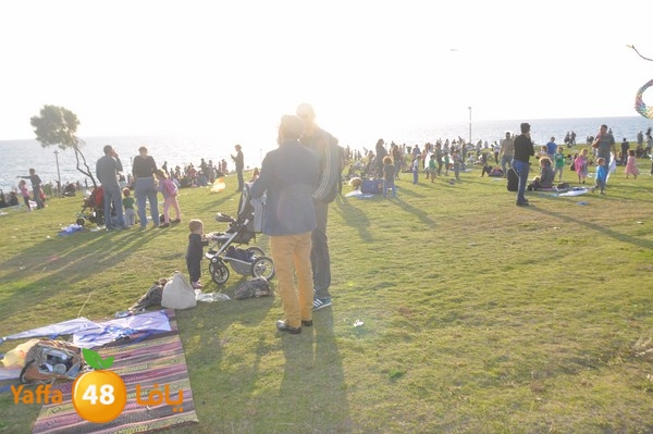 tayarat waraq (2).JPG